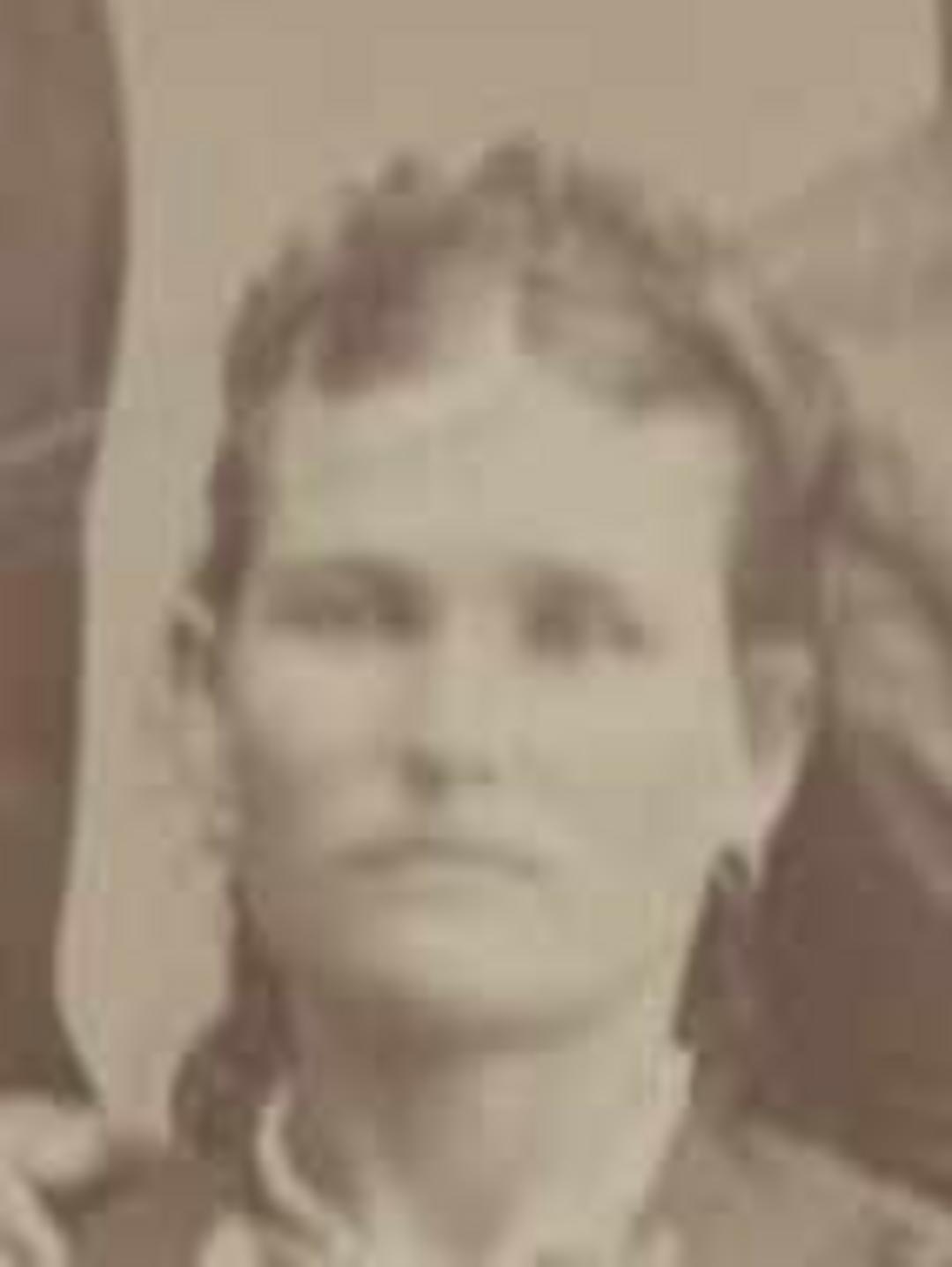 Mary Jane Ashworth (1850 - 1923) Profile